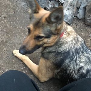 Meet your Posher, Mckenzie